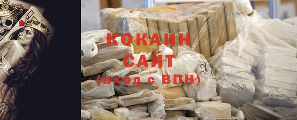 прущие грибы Куйбышев