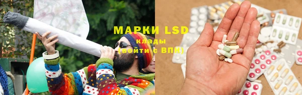 прущие грибы Куйбышев