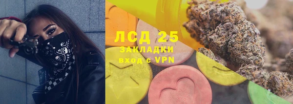 прущие грибы Куйбышев