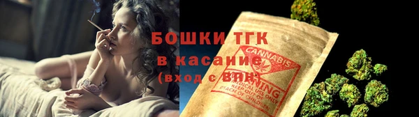 прущие грибы Куйбышев