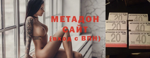 прущие грибы Куйбышев