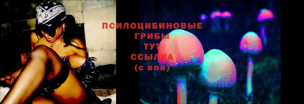 прущие грибы Куйбышев
