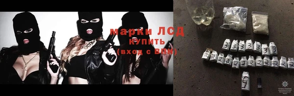 прущие грибы Куйбышев