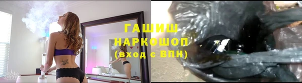 прущие грибы Куйбышев