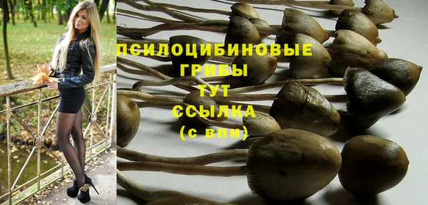 прущие грибы Куйбышев