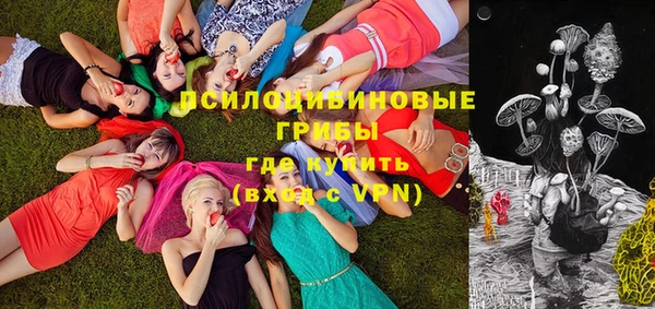 Альфа ПВП Краснослободск