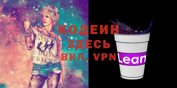 прущие грибы Куйбышев